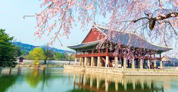 Details Image _ VNA Cargo